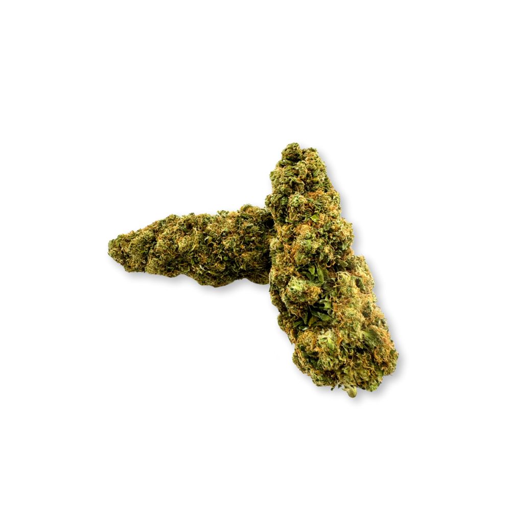 Godzilla CBD Blüten – 16% CBD | Integra Boost