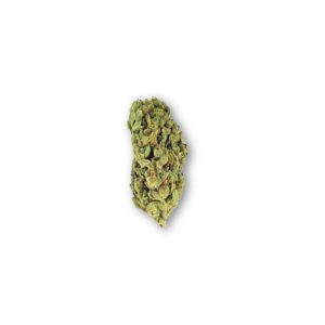 Jack Herer CBD Blüten – 40% CBD | Integra Boost