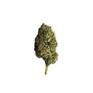 Lemon Haze H3 Superior Blend Blüten 40 %
