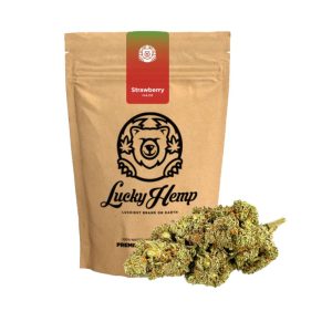 Strawberry Haze CBD Blüten – 10% CBD | Sonderposten